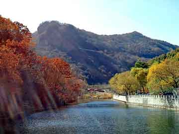 新澳天天开奖资料大全旅游团，奶牛养殖基地